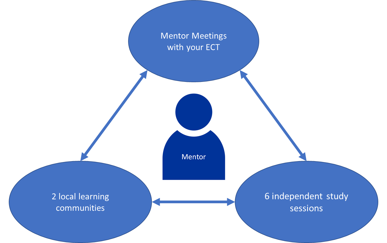 Mentor programme structure
